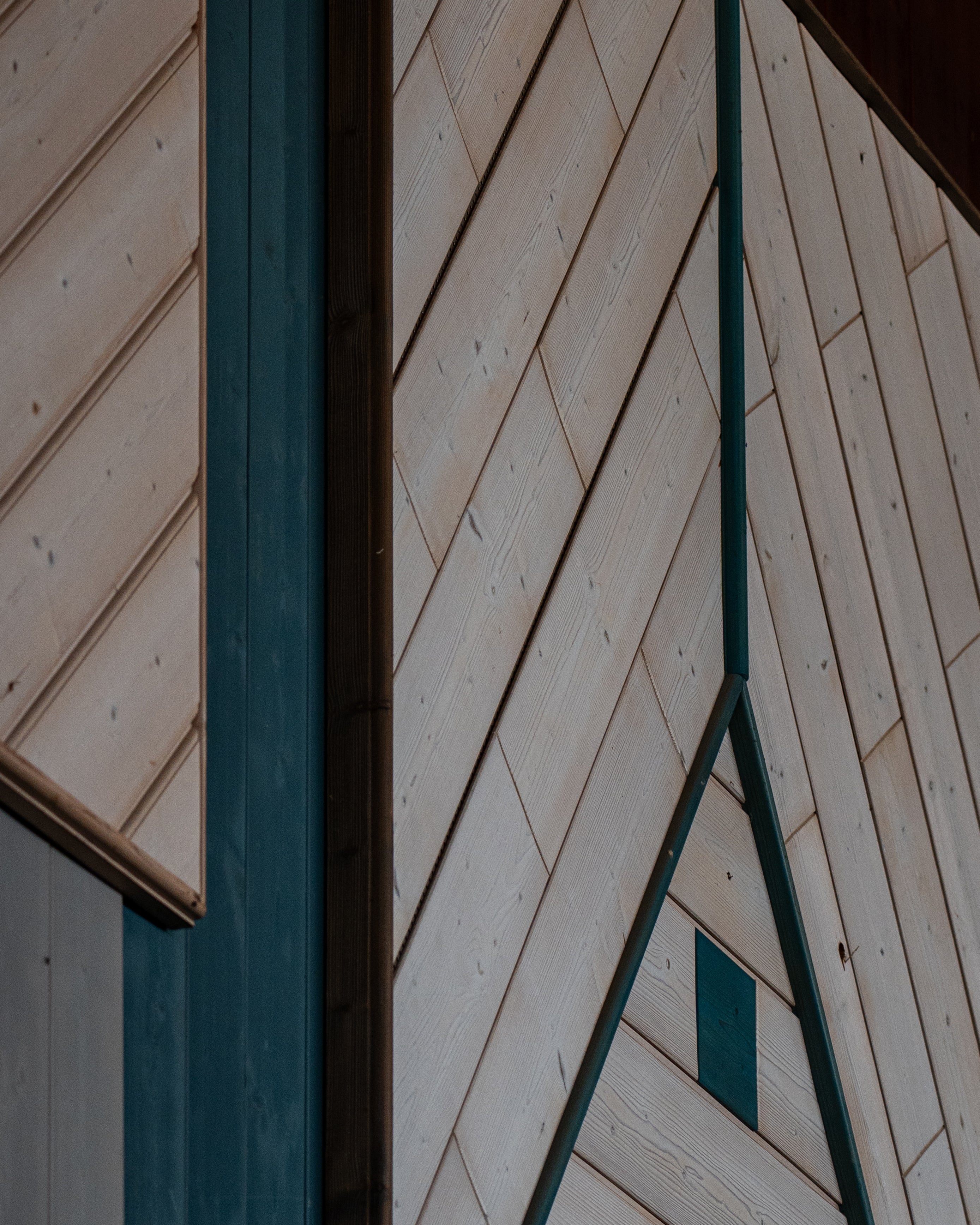 7 Things You Didn’t Know About Wood