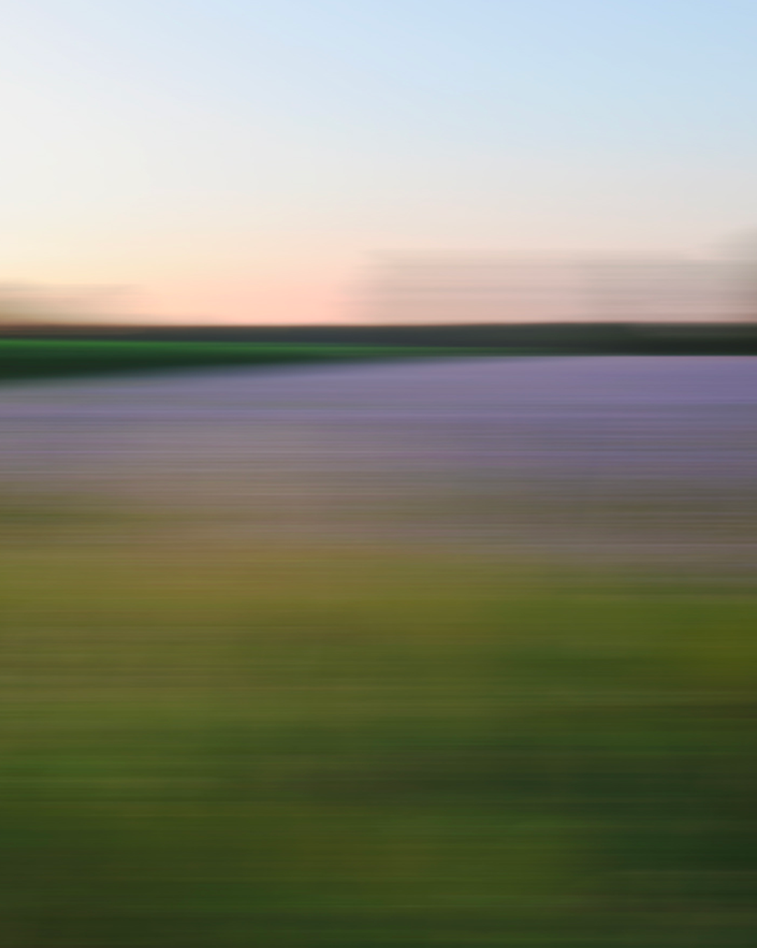 Interview with Bonnie Edelman