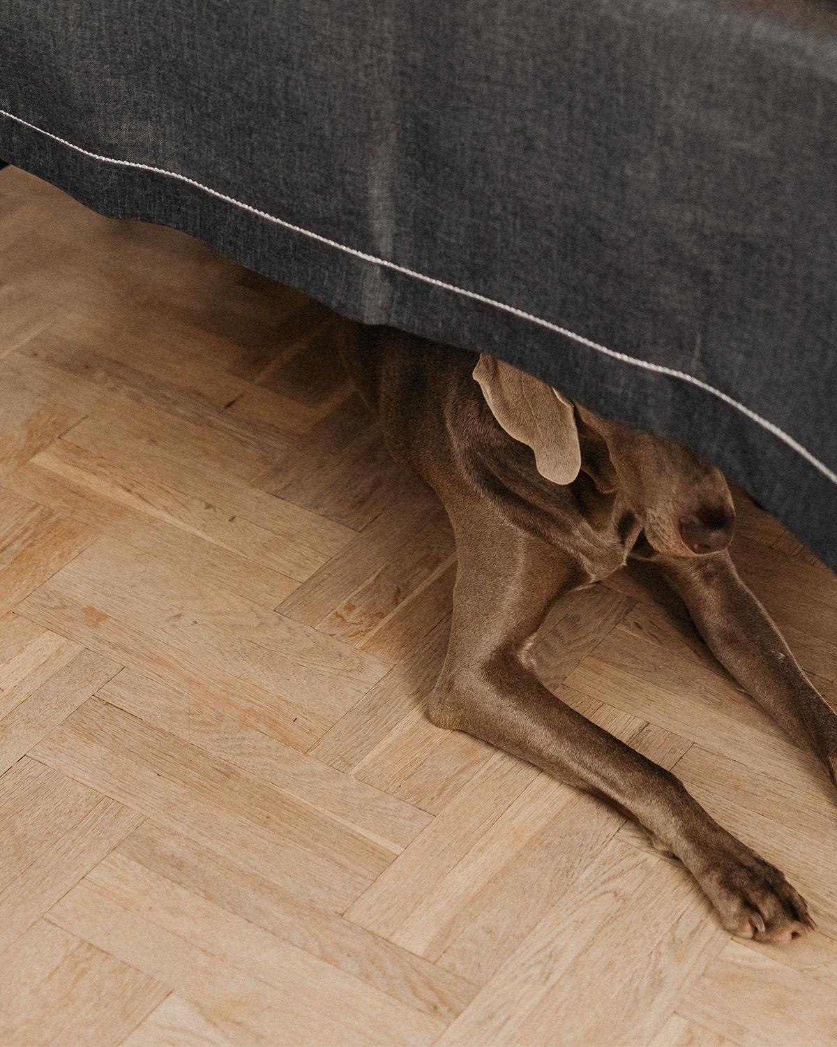 How to Prepare Your Floors for Canadian Thanksgiving Guests
