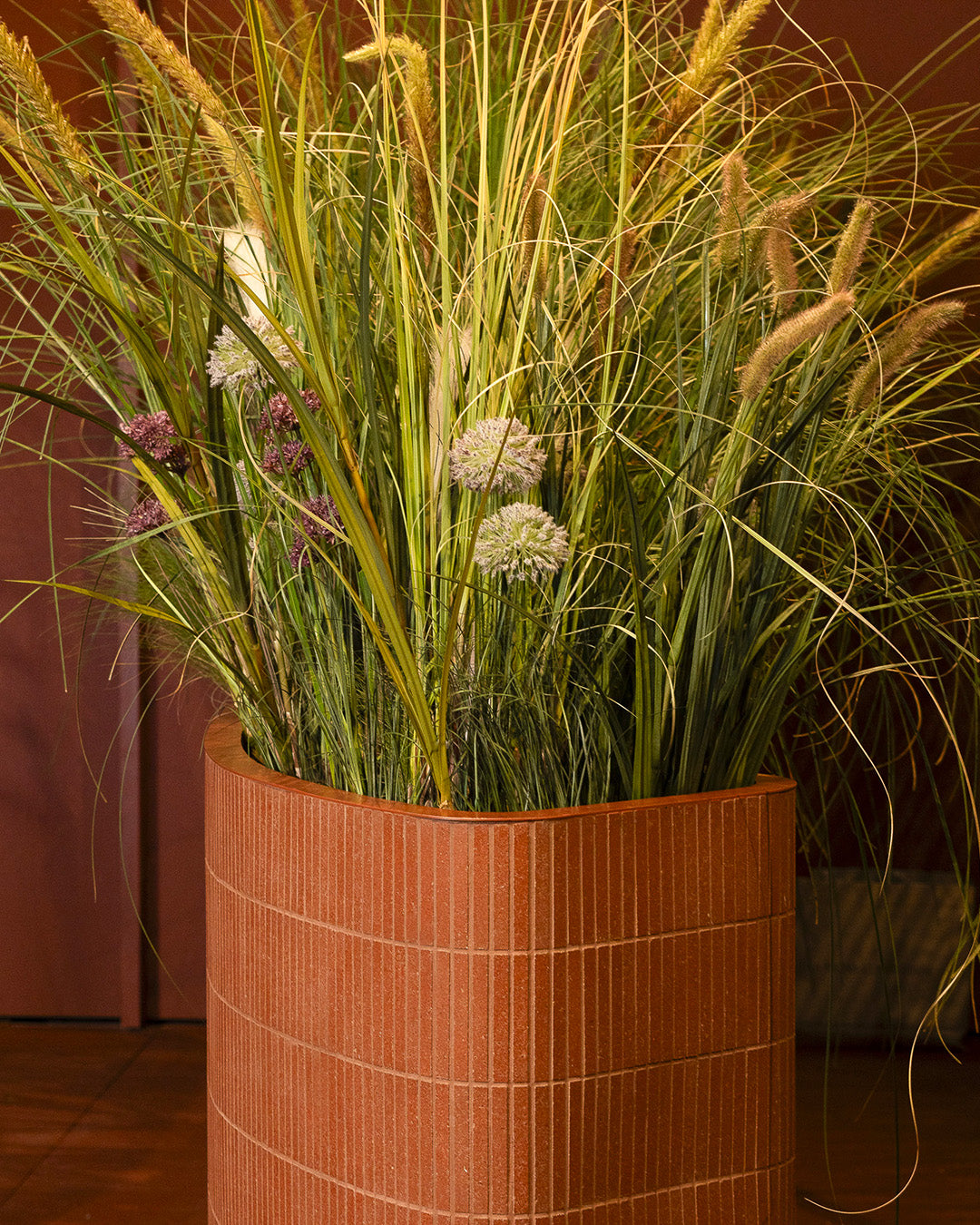 Between Roots and Reflections