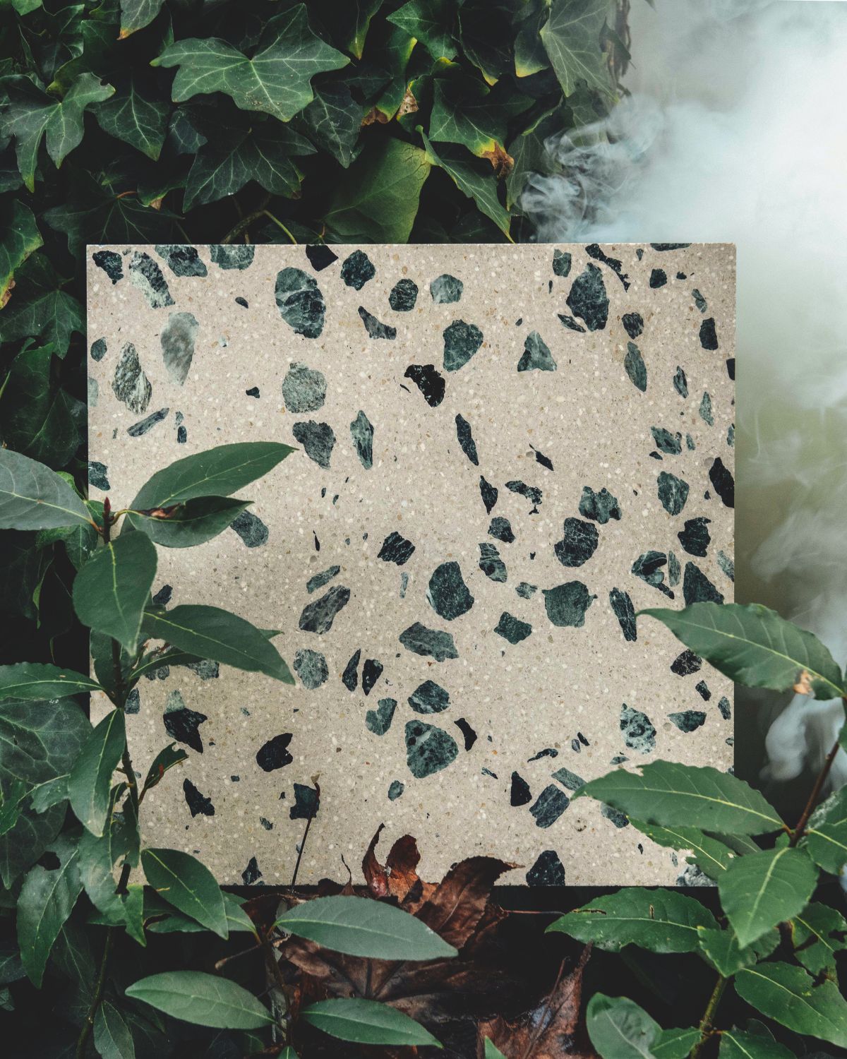 Spezie | Cardamom | Square