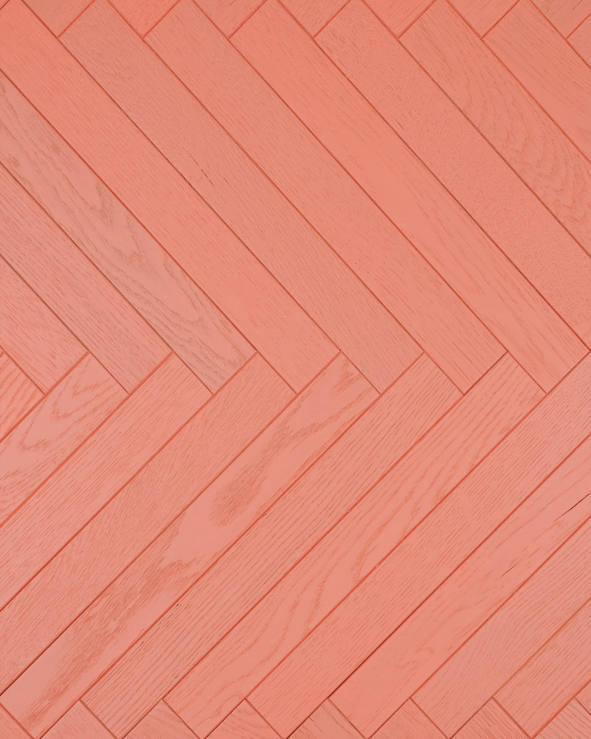 Chico | Terracotta