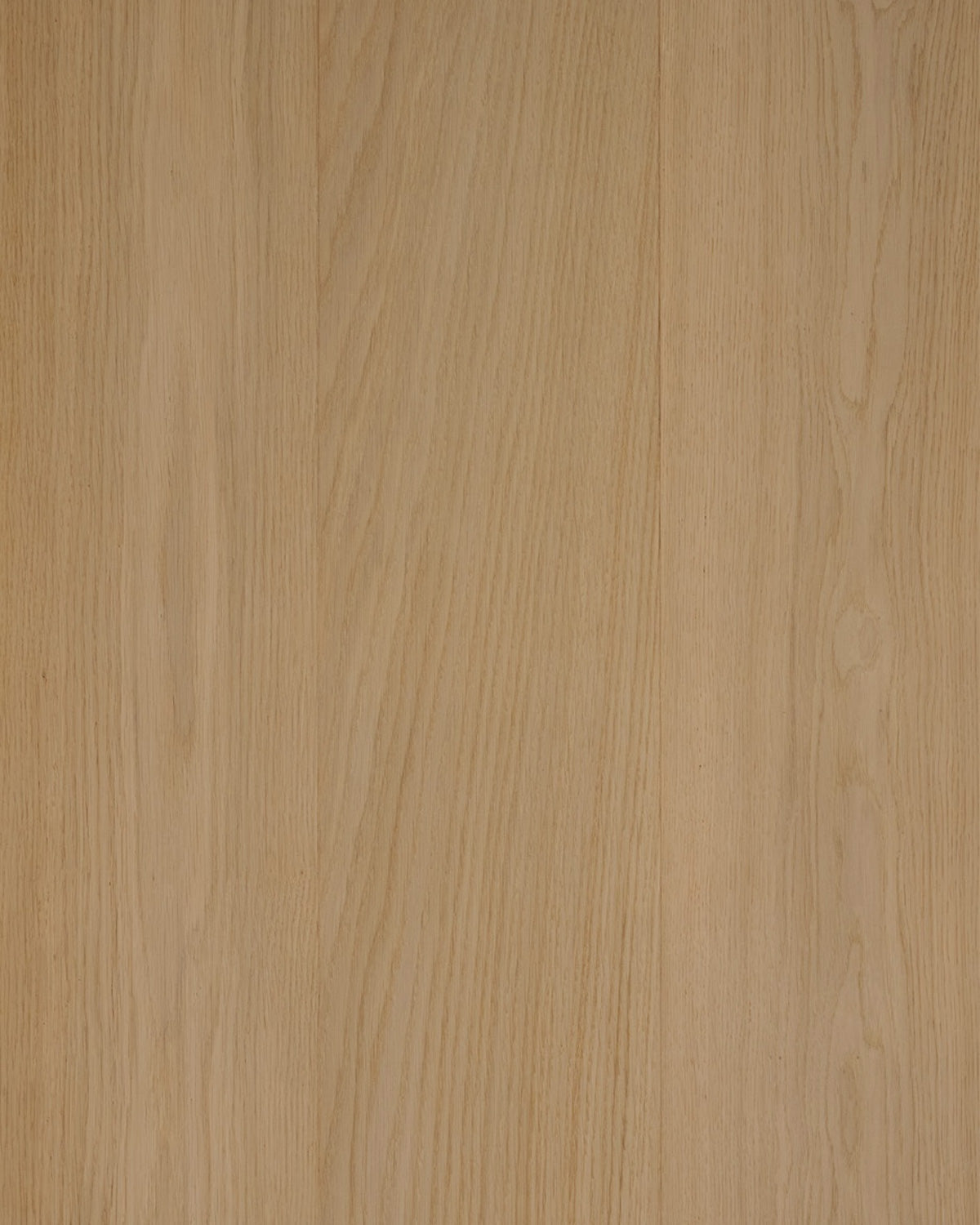 Sumo | Linden