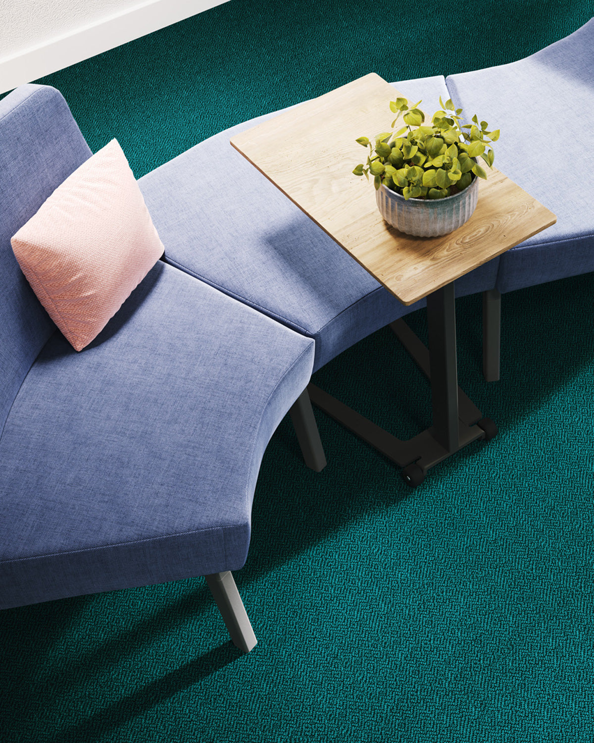 Vorwerk Carpet